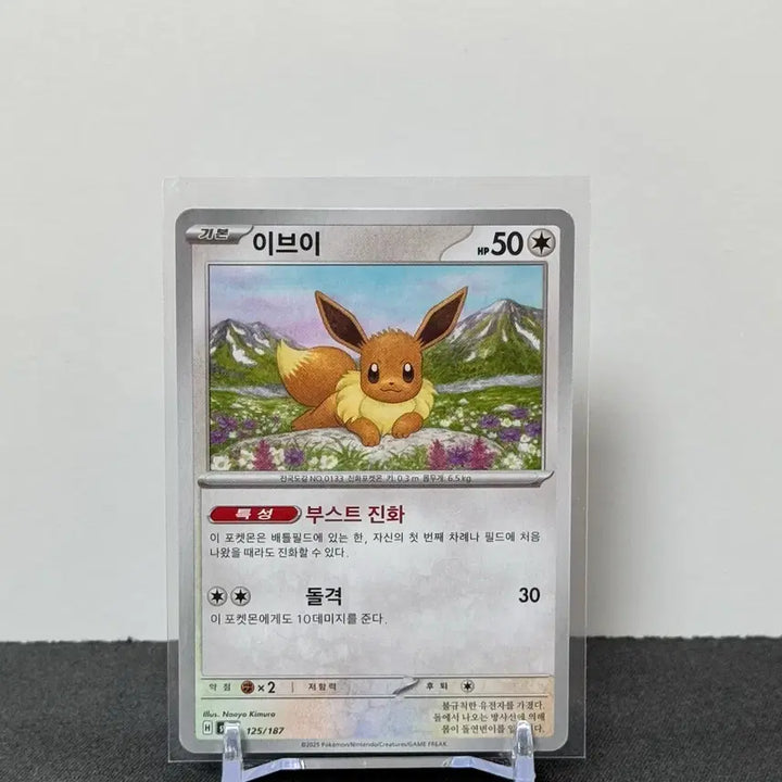 [BUNJANG] Pokemon Card Eevee (Terastal Festa) / [포켓몬카드 한판] 이브이 (테라스탈페스타)