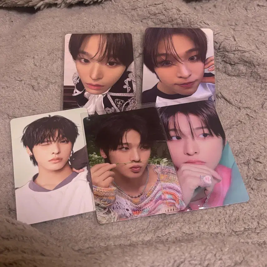 [BUNJANG] Riku Bundle Set Photocard / 리쿠 셀포 컨포 일괄판매