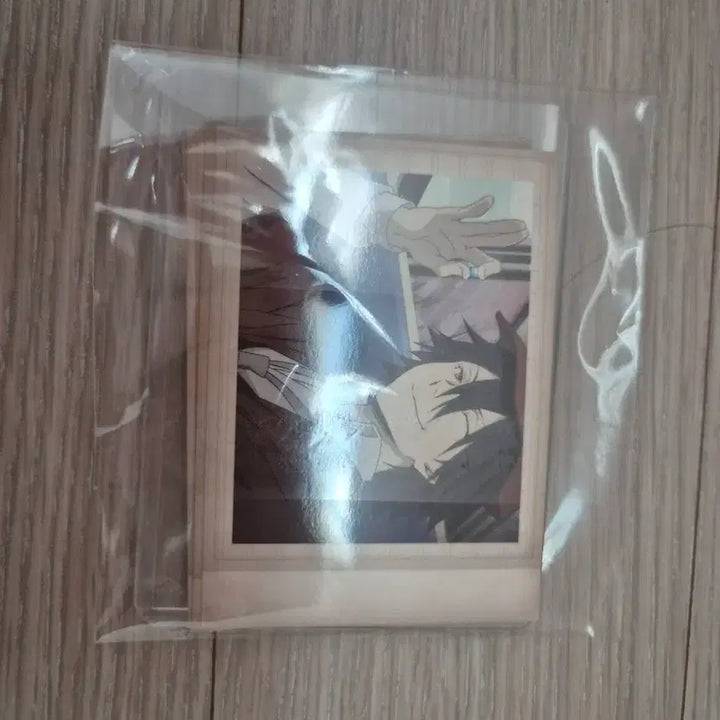 [BUNJANG] Bungo Stray Dogs Ranpo Edogawa Plush Doll &amp; Passcard Set / 문스독 란포 누이, 파샤