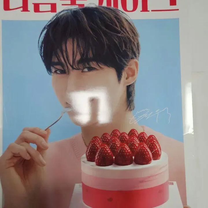[BUNJANG] Byun Woo Seok Baskin Robbins Double Fudge Cake Poster / 21세기대군부인 변우석 배라 배스킨라빈스 포스터 이안대군