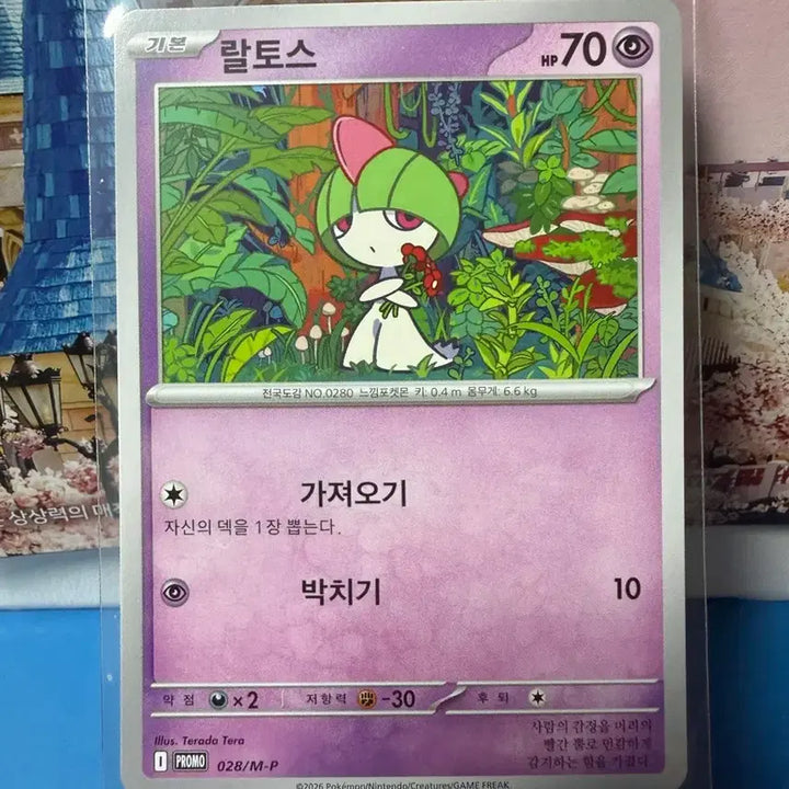 [BUNJANG] Pokemon Card Ralts Promo / 포켓몬카드 랄토스 프로모