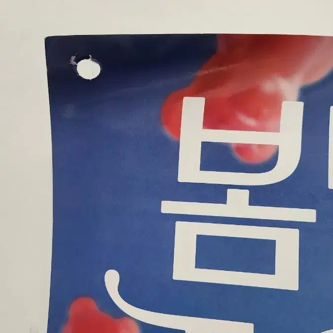 [BUNJANG] Byun Woo Seok Baskin Robbins Poster / 21세기대군부인 변우석 배스킨라빈스 포스터 배라포스터