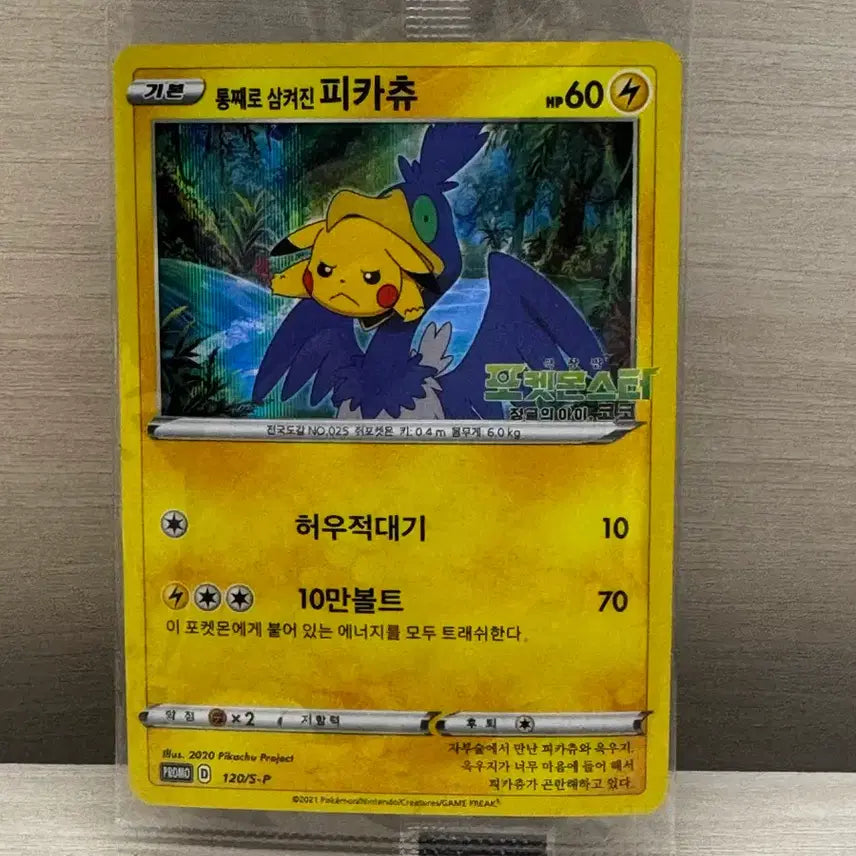 [BUNJANG] Pokemon Card Pikachu (Tongsam-pi) Swallowed Whole / 포켓몬카드 통째로 삼켜진 피카츄(통삼피)