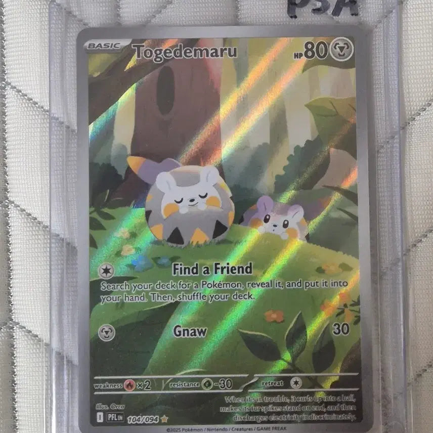 [BUNJANG] Pokemon Togedemaru AR North American Edition / 포켓몬 카드) 북미판 토게데마루 ar