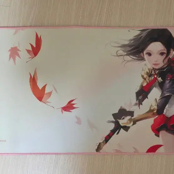 [BUNJANG] Lost Ark Desk Mat 2pcs + Eco Bag Set / 로스트아크 장패드2개+에코백