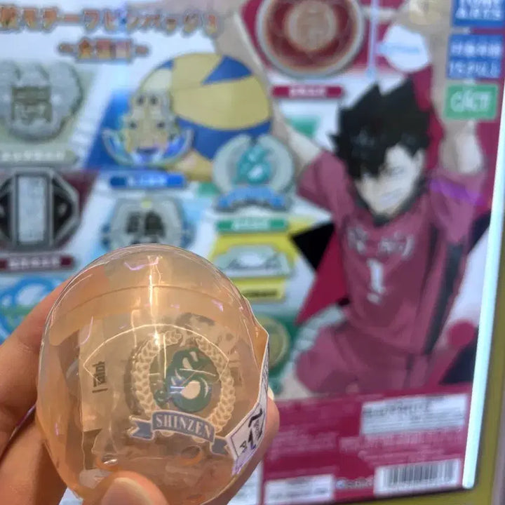 [BUNJANG] Haikyuu!! School Gacha Badge Shingeki no Kyojin / 하이큐 학교 뱃지 가챠 신젠고