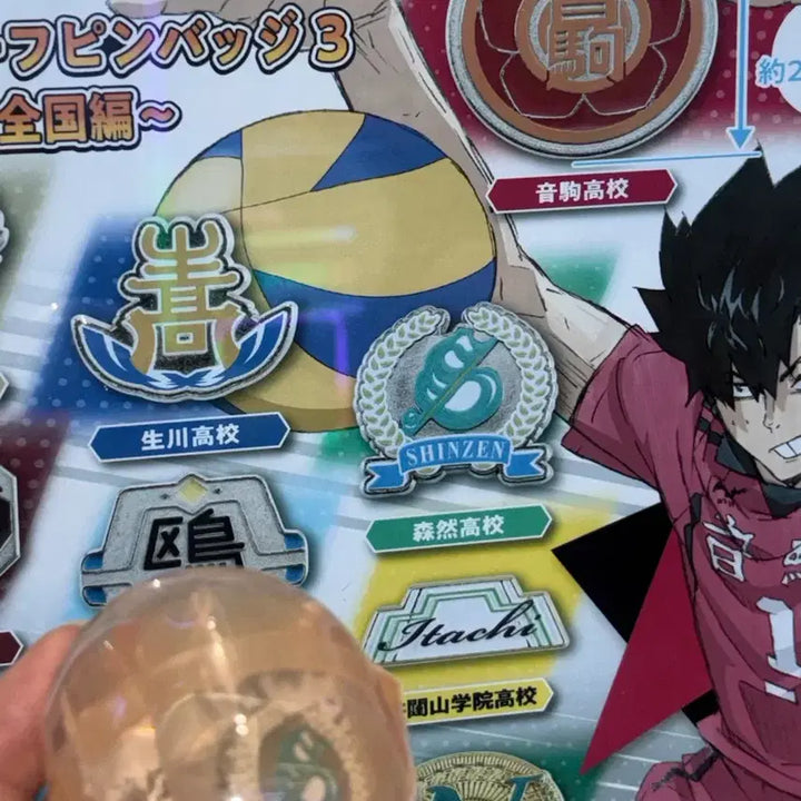 [BUNJANG] Haikyuu!! School Gacha Badge Shingeki no Kyojin / 하이큐 학교 뱃지 가챠 신젠고