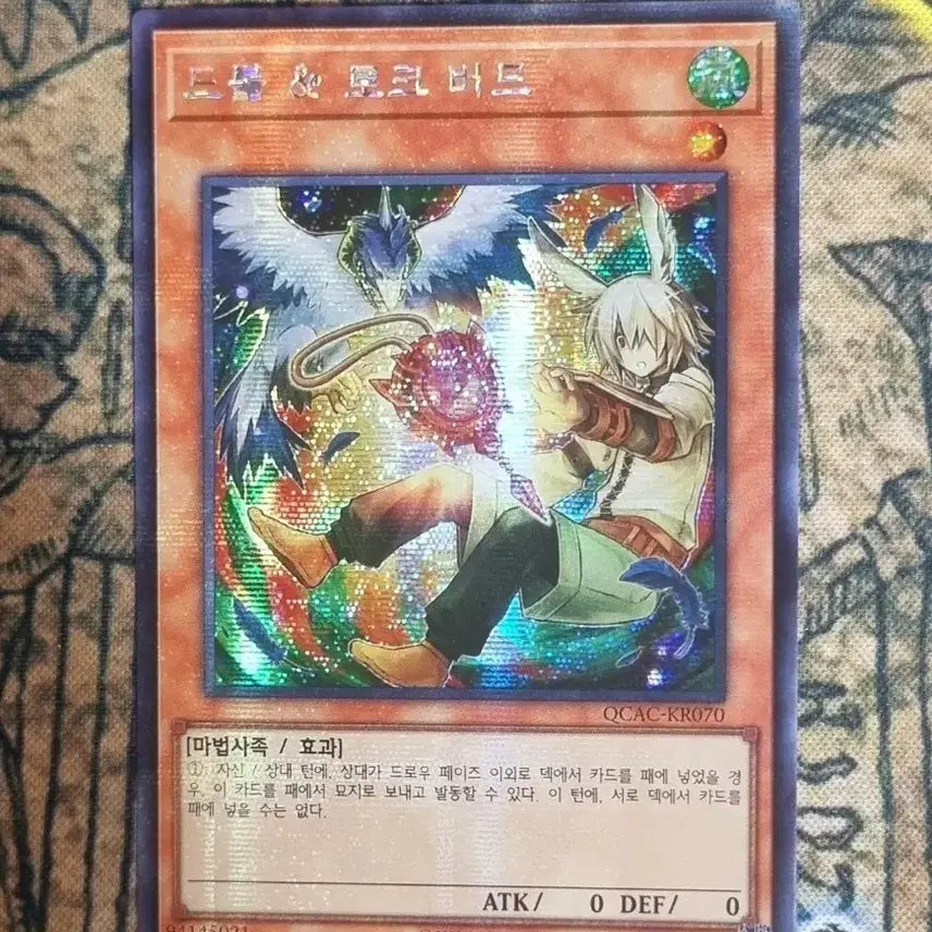 [BUNJANG] Yu-Gi-Oh! Droll &amp; Lock Bird Alternate Art Secret Rare (QCAC-KR070) / 유희왕 드롤&amp;로크버드 다른일러(QCAC-KR070)시크릿레어
