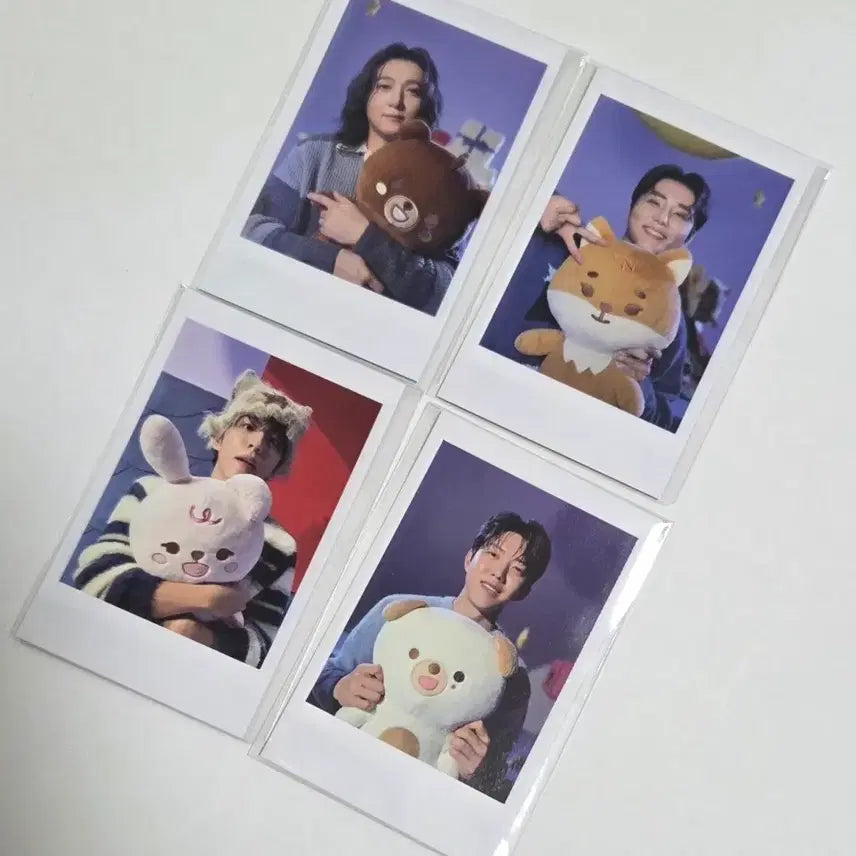 [BUNJANG] Day6 Giant Petitmerls Polaroid Bundle Set / 데이식스 자이언트 쁘띠멀즈 폴라로이드 일괄