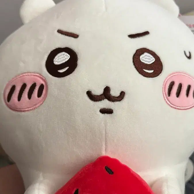 [BUNJANG] Suika Chiikawa Plush / 수박 치이카와 인형