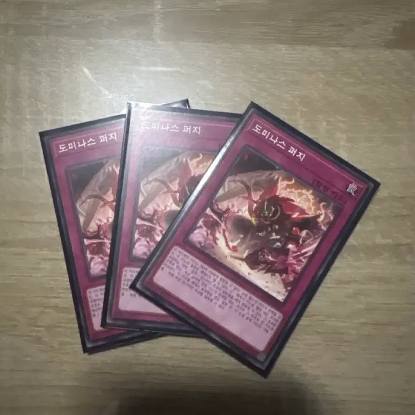 [BUNJANG] Dominas Fugi Normal 3 Card Set / 도미나스 퍼지 노말 3장 세트