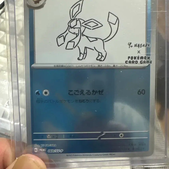 [BUNJANG] Pokemon Card Yu Nagaba Glaceon Promo / 포켓몬카드 Yu Nagaba 글레이시아 프로모