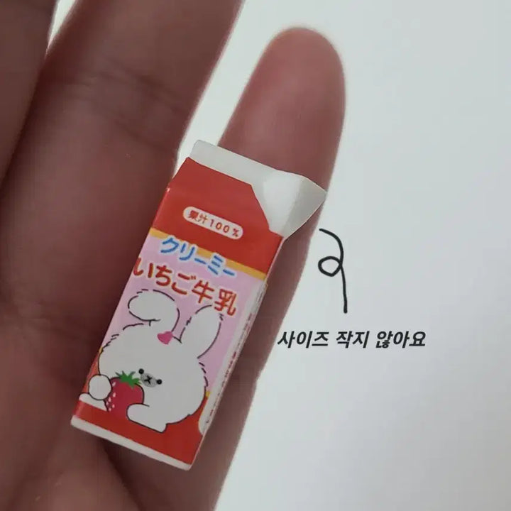 [BUNJANG] Milk Miniatures Set (6 Types) / 우유 미니어처