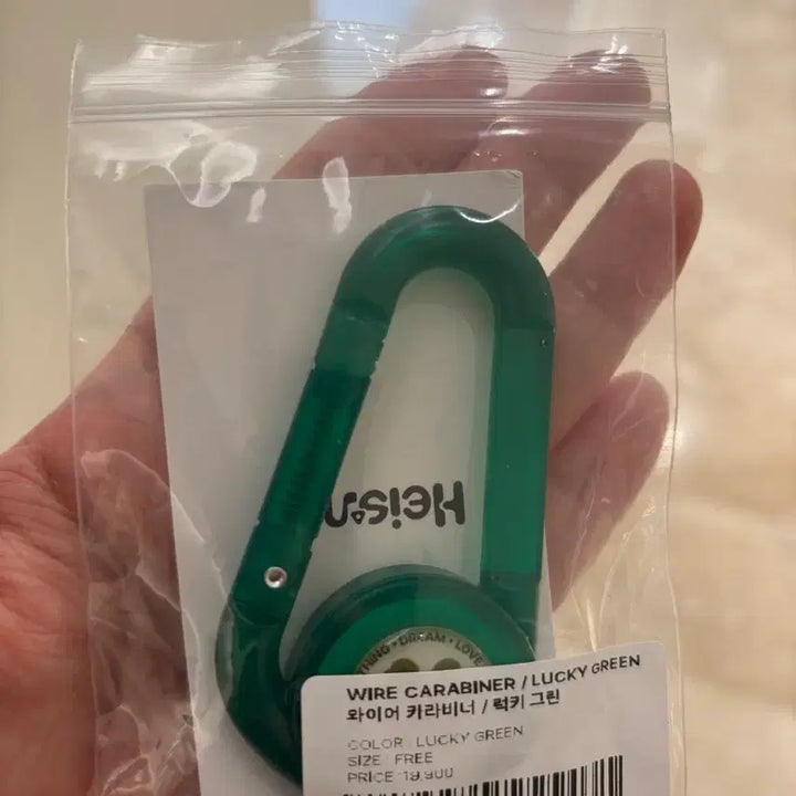 [BUNJANG] Haisan Backpack Wire Carabiner Lucky Green / 하이산 백팩 와이어 카라비너 럭키 그린 (도트백팩이랑 합배송o)