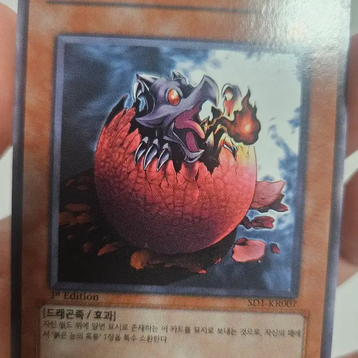 [BUNJANG] Yu-Gi-Oh! Baby Black Dragon 1st Edition / 유희왕 아기 흑룡 1st 퍼에