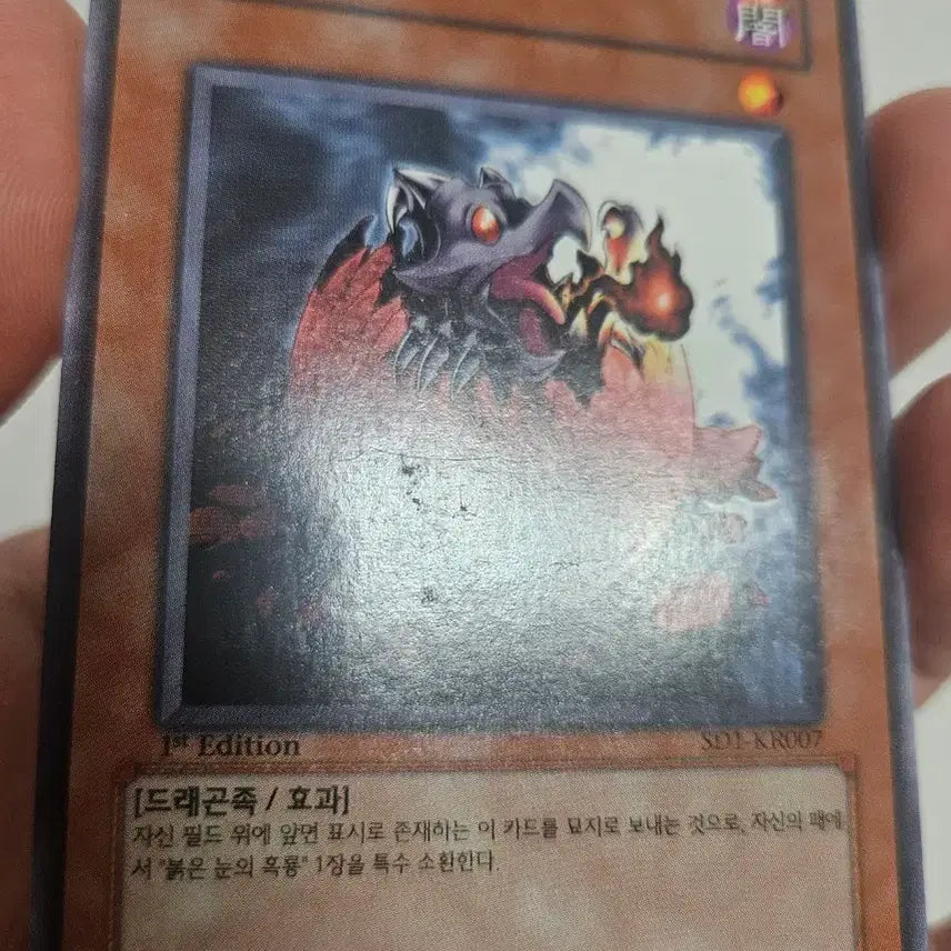 [BUNJANG] Yu-Gi-Oh! Baby Black Dragon 1st Edition / 유희왕 아기 흑룡 1st 퍼에