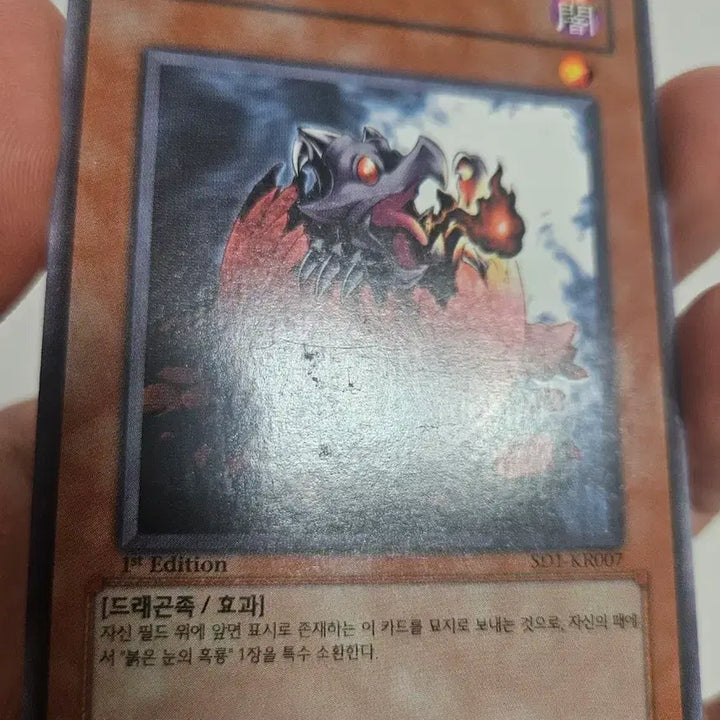 [BUNJANG] Yu-Gi-Oh! Baby Black Dragon 1st Edition / 유희왕 아기 흑룡 1st 퍼에