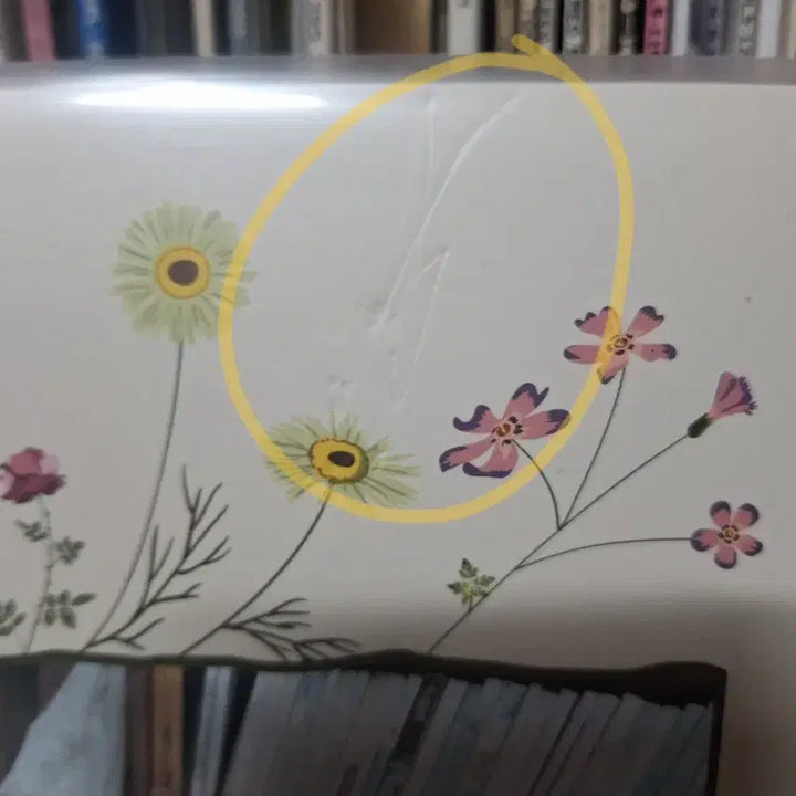 [BUNJANG] IU LP / 아이유lp
