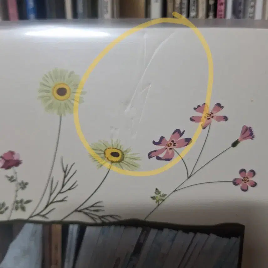 [BUNJANG] IU LP / 아이유lp