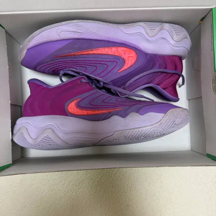 [BUNJANG] Nike Immortality 4 Basketball Shoes / 이모탈리티4