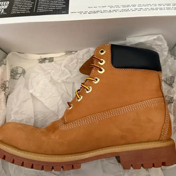 [BUNJANG] Timberland Premium 6-Inch Waterproof Boots Wheat Nubuck Wide / 팀버랜드 프리미엄 6인치 워터프루프 부츠 위트 누벅 - 와이드