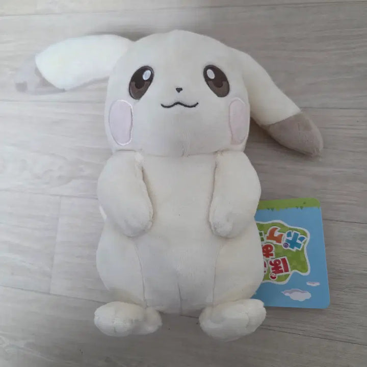 [BUNJANG] Pokemon 30th Anniversary Ditto&
