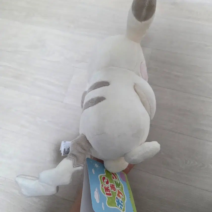 [BUNJANG] Pokemon 30th Anniversary Ditto&