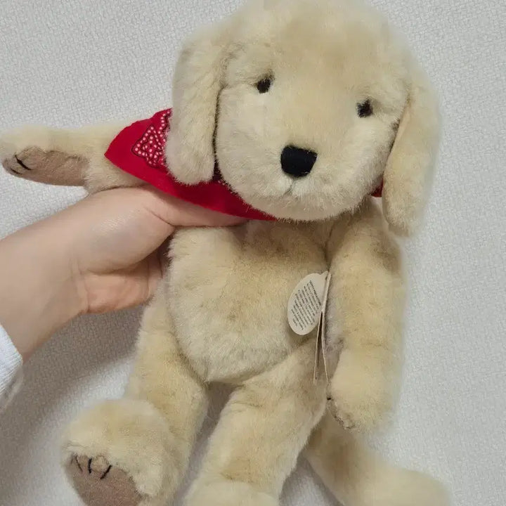 [BUNJANG] Boyz Bear Injeolmi Plush / 보이즈베어 인절미 팝니다.