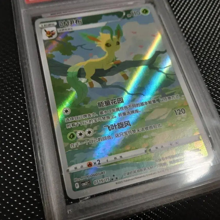 [BUNJANG] PSA 10 Limted Edition Illustration Full Illustration Card - Gengar (CS 15) / (psa 10) 중판 한정일러 cbb2 cs 15 리피아 풀일러 최고등급