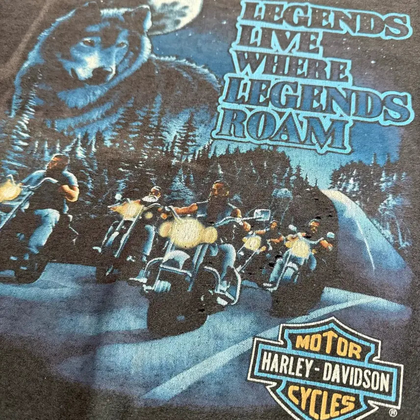[BUNJANG] Harley-Davidson 90s Vintage "Legends Roam" T-Shirt XL / [XL] 90s 할리데이비슨 빈티지 반팔 티셔츠 Legends Roam