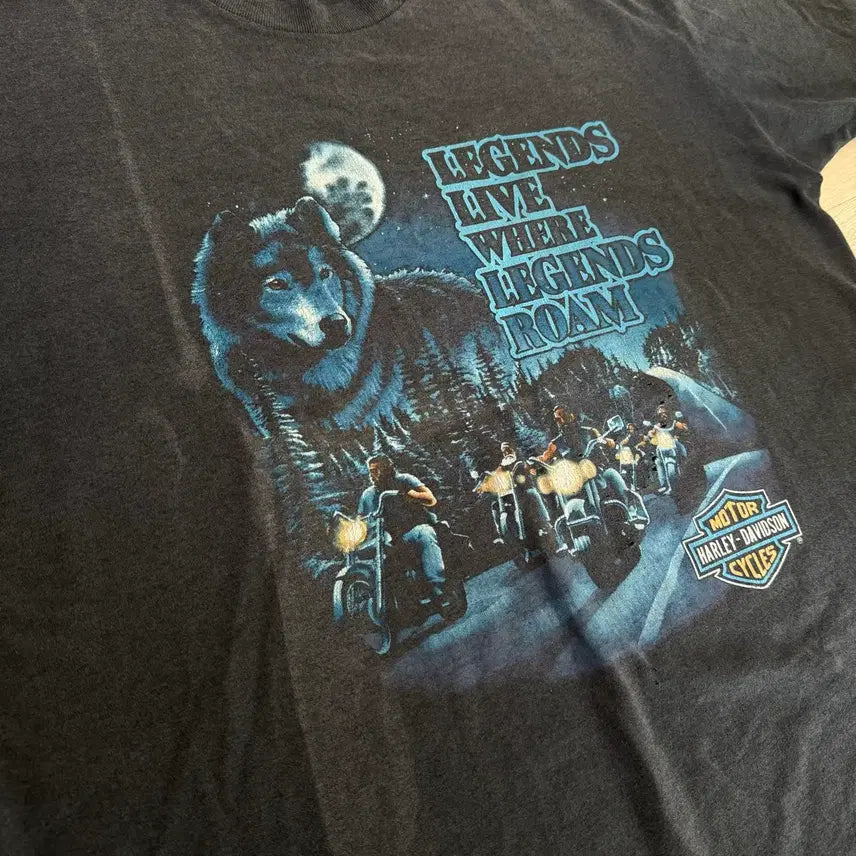 [BUNJANG] Harley-Davidson 90s Vintage "Legends Roam" T-Shirt XL / [XL] 90s 할리데이비슨 빈티지 반팔 티셔츠 Legends Roam