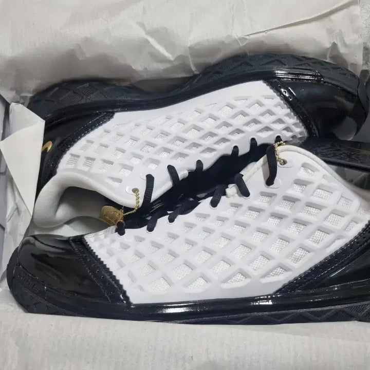 [BUNJANG] Nike Kobe 3 Low Protro Mambacita Basketball Shoes / 나이키 코비3 로우 프로트로 맘바시타 농구화 285