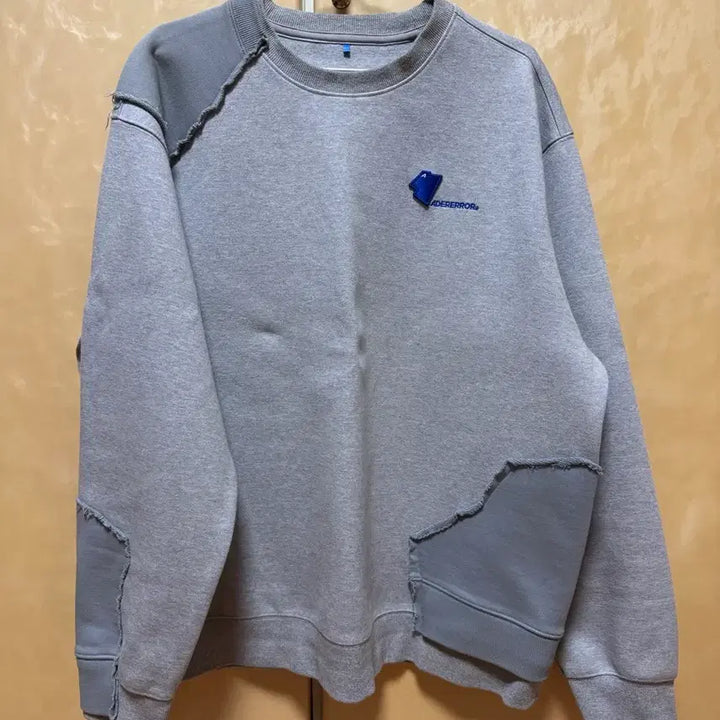 [BUNJANG] Ader Error Tran Sweatshirt / 아더에러 tran 맨투맨 A2 판매합니다.