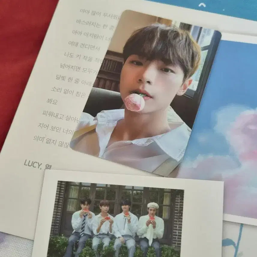 [BUNJANG] LUCY "YEORE" Album / 루시 앨범 판매합니다