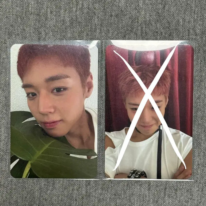 [BUNJANG] Park Jihoon Body else Music Bank Studio Photocard / 박지훈 바디엘스 뮤뱅 공방 포카 양도