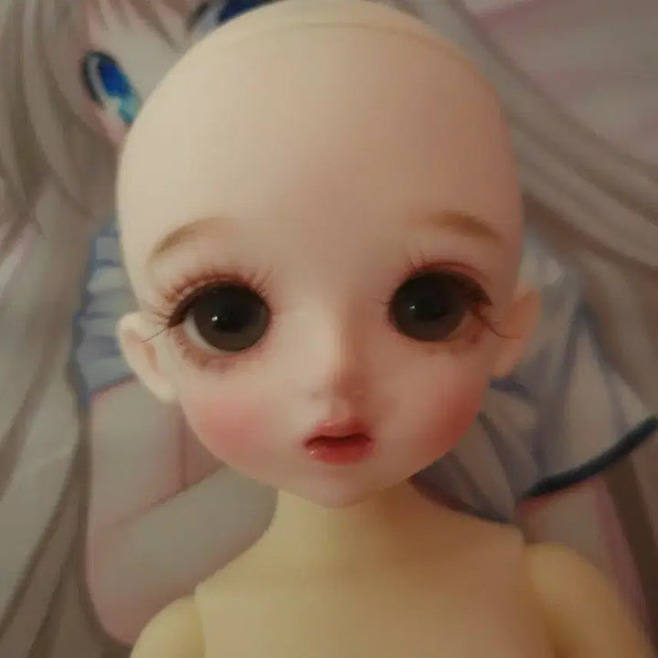 [BUNJANG] Dolls Closet Ball Jointed Doll / 돌스 클로젯 구체관절인형