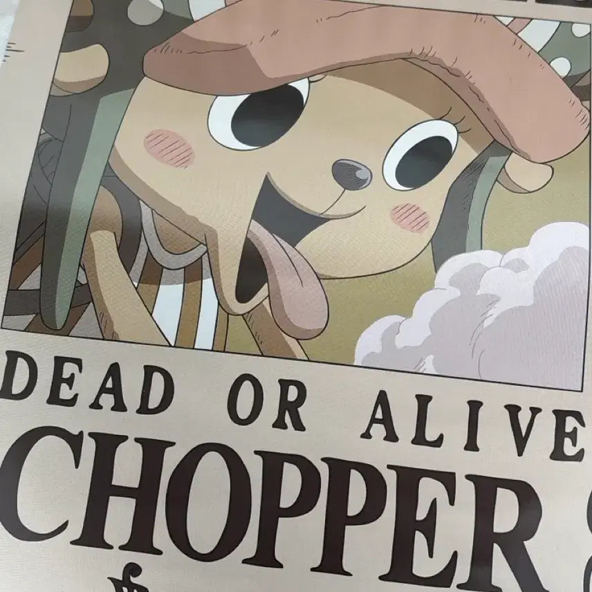 [BUNJANG] One Piece Nami &amp; Chopper Bounty Posters Bundle Set / 일괄판매중) 원피스 나미 쵸파 포스터 판매 현상금