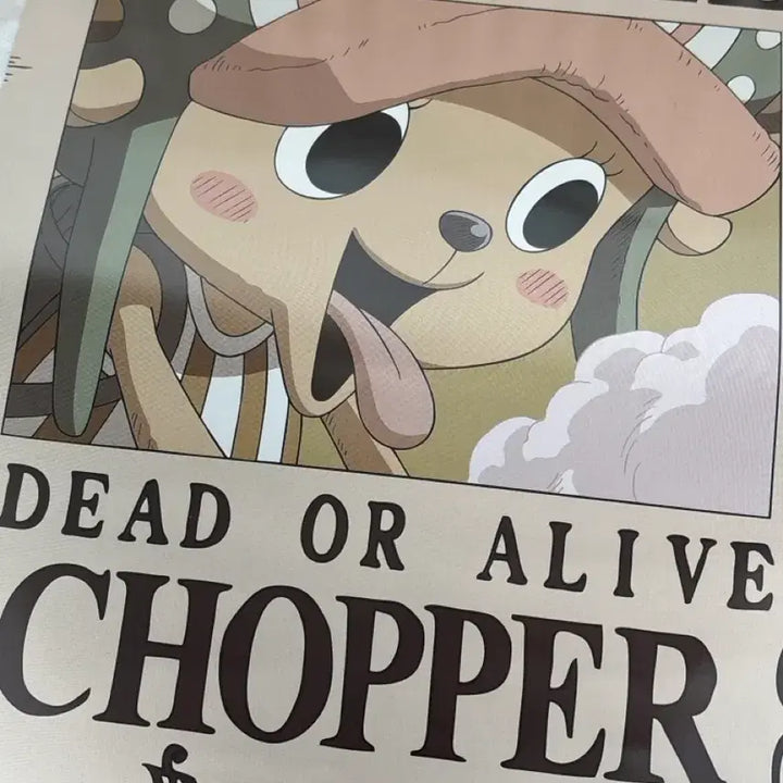 [BUNJANG] One Piece Nami &amp; Chopper Bounty Posters Bundle Set / 일괄판매중) 원피스 나미 쵸파 포스터 판매 현상금