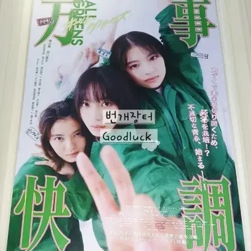 [BUNJANG] Sealed All Greens Original A3 Poster / 미개봉 올 그린스 오리지널 A3 포스터