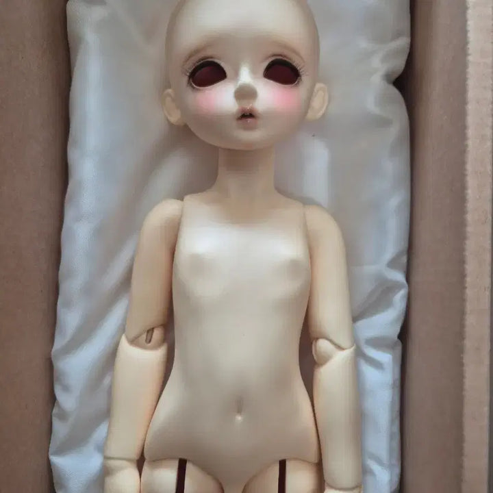 [BUNJANG] Chicabi 40cm MSD Dorothy Doll with Full Outfit / 치카비 40센치MSD도로시