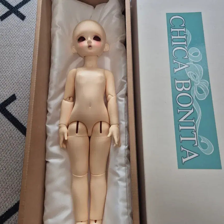 [BUNJANG] Chicabi 40cm MSD Dorothy Doll with Full Outfit / 치카비 40센치MSD도로시