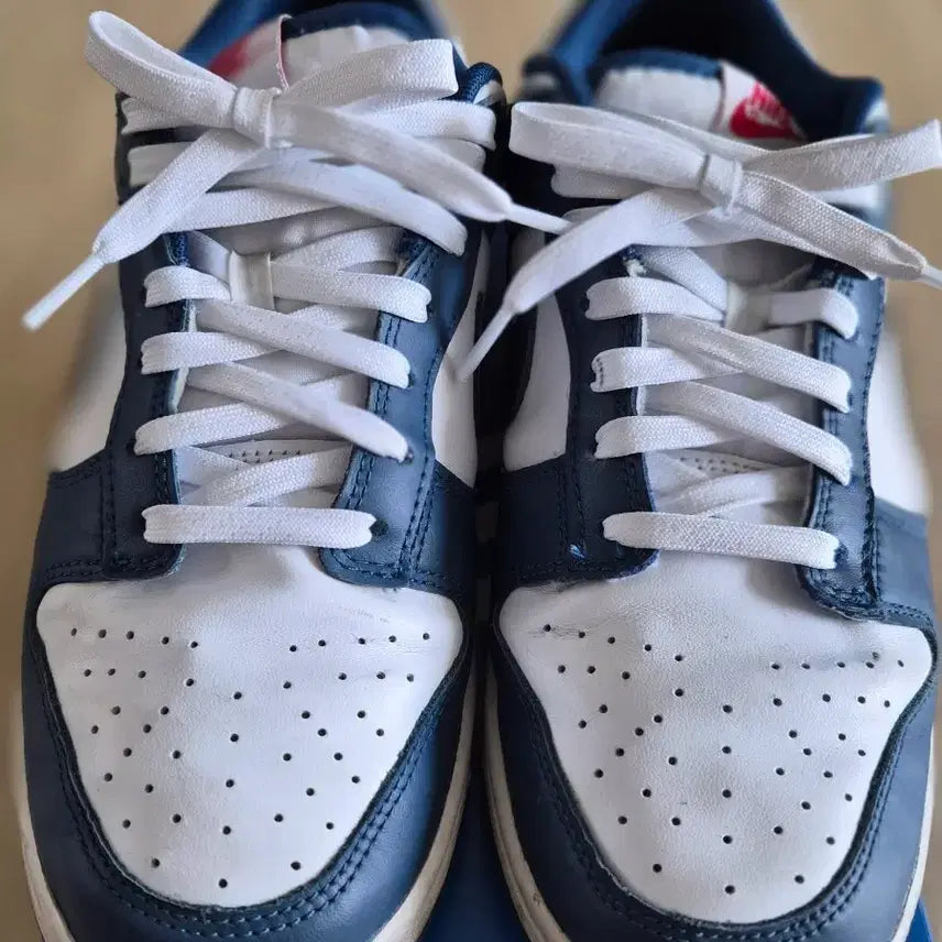 [BUNJANG] Nike Dunk Low Valerian Blue Retro 270mm / 나이키 덩크 로우 발레리안 블루 레트로 270mm