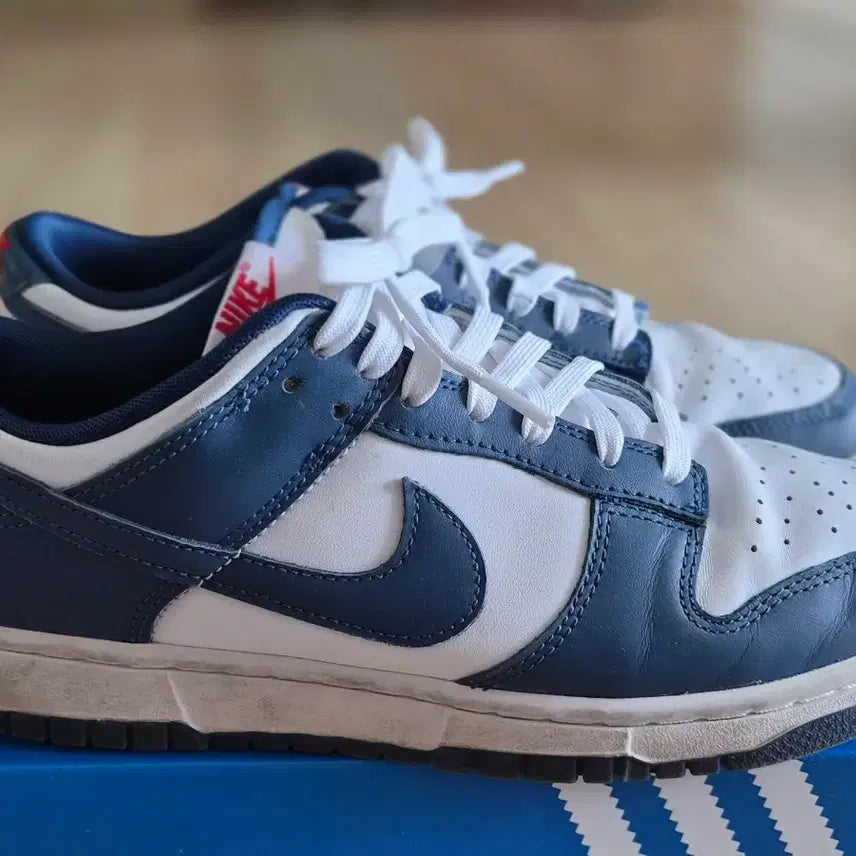 [BUNJANG] Nike Dunk Low Valerian Blue Retro 270mm / 나이키 덩크 로우 발레리안 블루 레트로 270mm