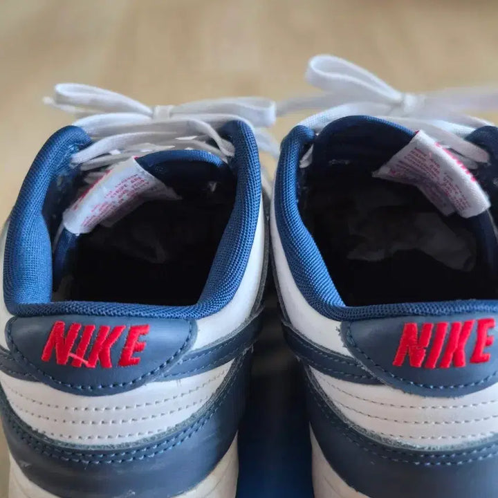 [BUNJANG] Nike Dunk Low Valerian Blue Retro 270mm / 나이키 덩크 로우 발레리안 블루 레트로 270mm