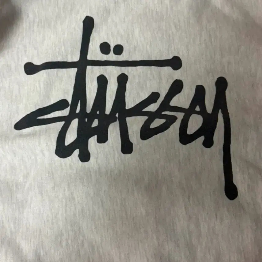 [BUNJANG] Stussy Hoodie / 스투시 후드티