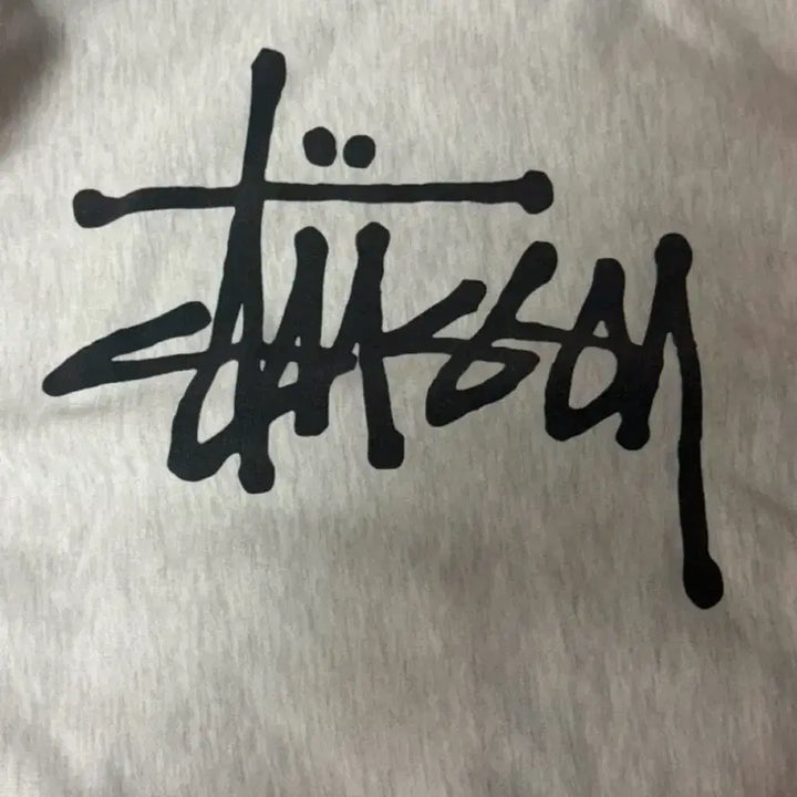 [BUNJANG] Stussy Hoodie / 스투시 후드티