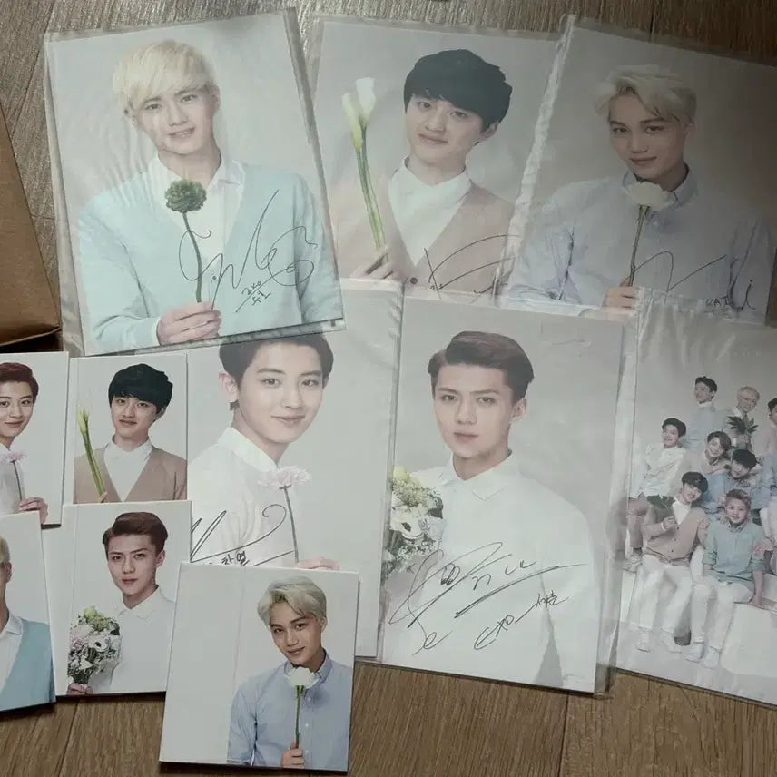 [BUNJANG] EXO Nature Republic Postcard / 엑소 네이처리퍼블릭 엽서