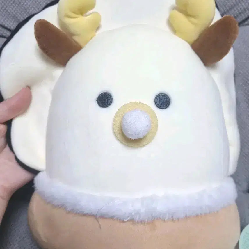 [BUNJANG] Rudolph &