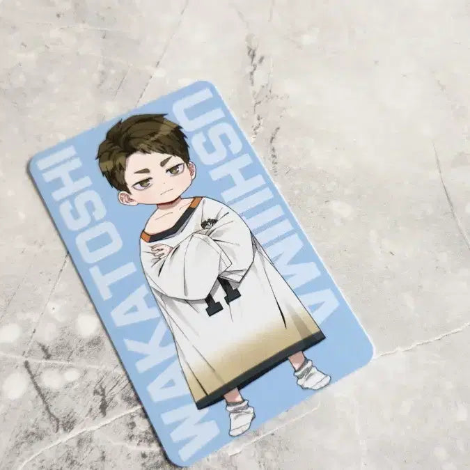 [BUNJANG] Haikyuu!! Ushijima Wakatoshi Unofficial Photocard / 하이큐 비공식 KANAN 통판 우시지마 포토카드 포카