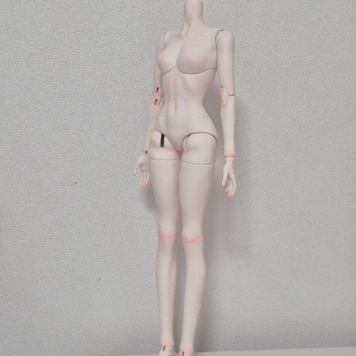 [BUNJANG] MSD Unused Unpainted Full Box Ball Jointed Doll Body - White / 풀박스 미사용 구관 MSD 미백 바디 구체관절인형 바디
